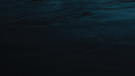 Maximillian Andereya