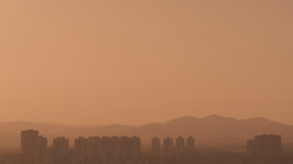 Maximillian Andereya