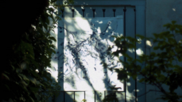 Maximillian Andereya